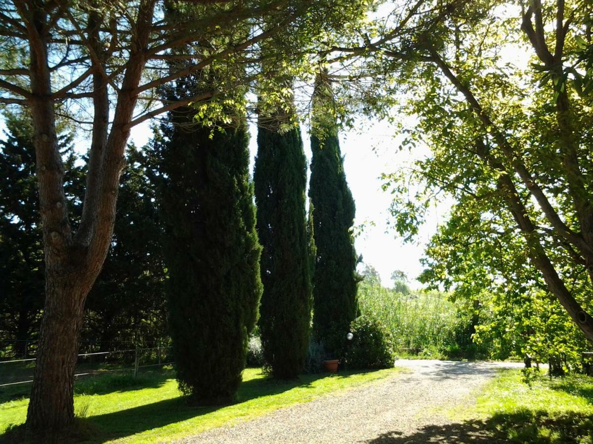 מלון מליאנו אין טוסקנה Agriturismo Piana Arborello מראה חיצוני תמונה