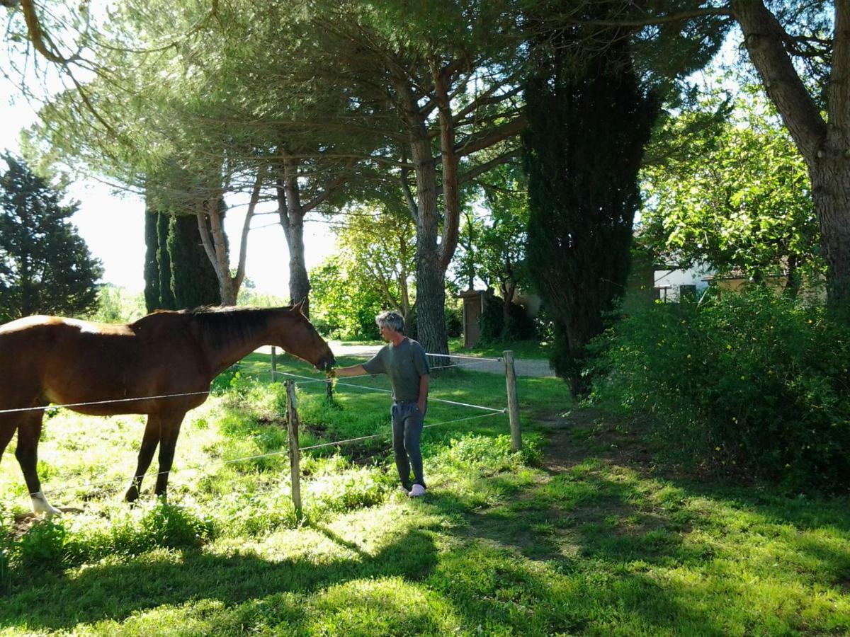 מלון מליאנו אין טוסקנה Agriturismo Piana Arborello מראה חיצוני תמונה