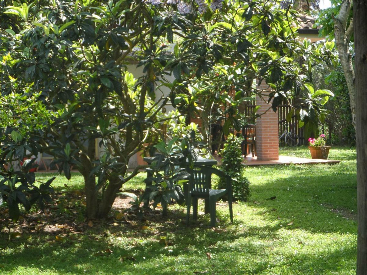מלון מליאנו אין טוסקנה Agriturismo Piana Arborello מראה חיצוני תמונה