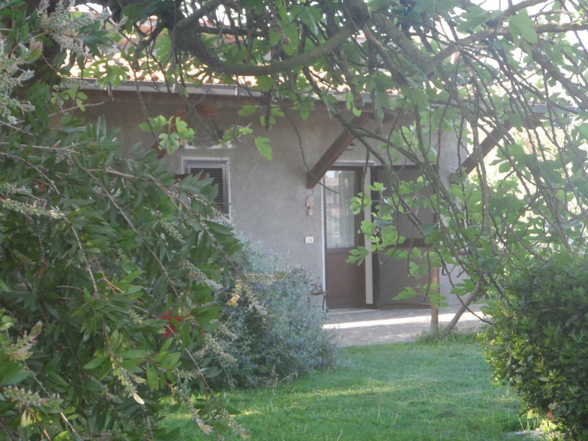 מלון מליאנו אין טוסקנה Agriturismo Piana Arborello מראה חיצוני תמונה