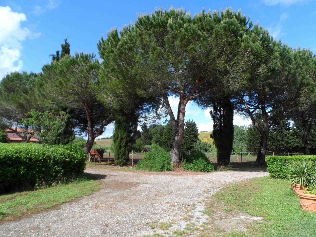 מלון מליאנו אין טוסקנה Agriturismo Piana Arborello מראה חיצוני תמונה