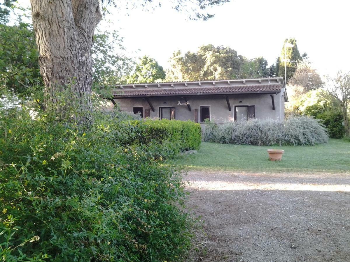 מלון מליאנו אין טוסקנה Agriturismo Piana Arborello מראה חיצוני תמונה