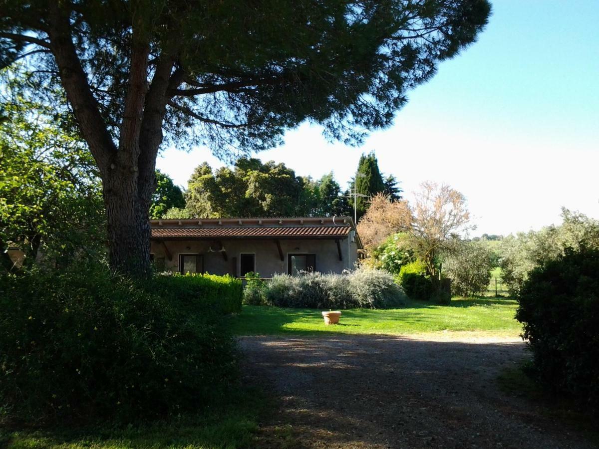 מלון מליאנו אין טוסקנה Agriturismo Piana Arborello מראה חיצוני תמונה