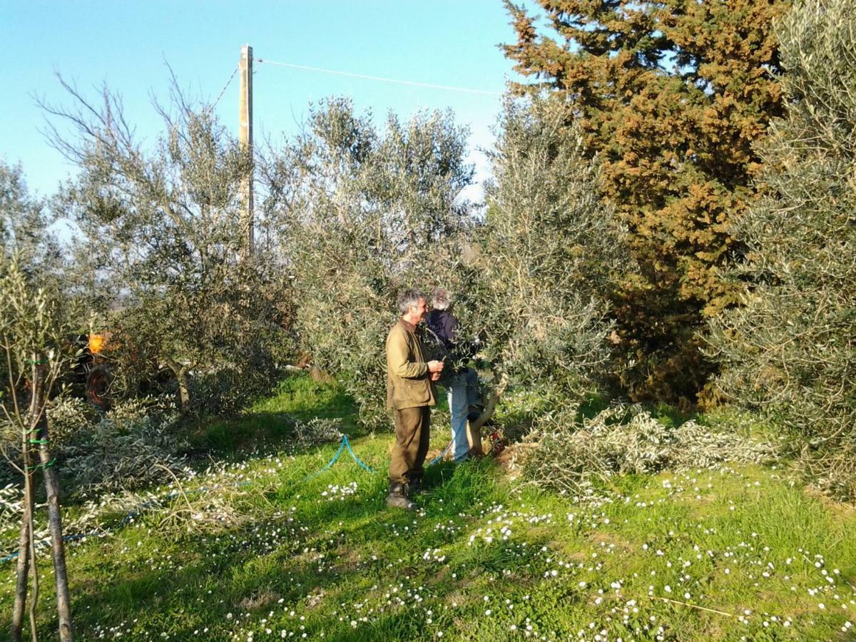 מלון מליאנו אין טוסקנה Agriturismo Piana Arborello מראה חיצוני תמונה